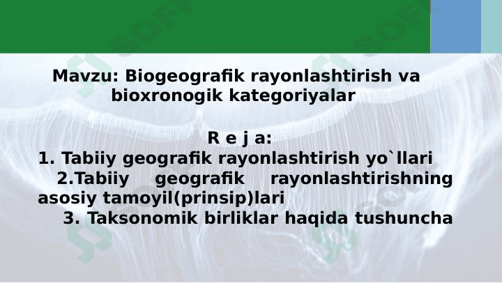 biogeografik rayonlashtirish
