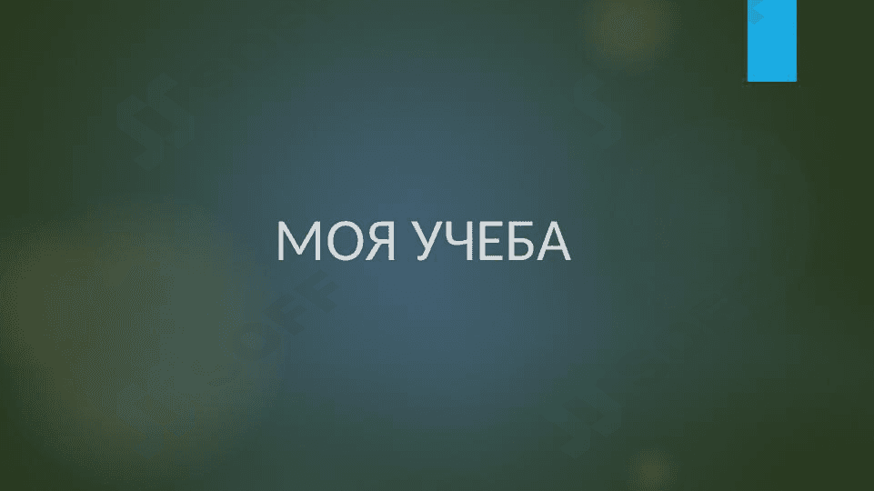 Моя учеба