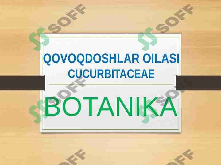 QOVOQDOSHLAR OILASI CUCURBITACEAE