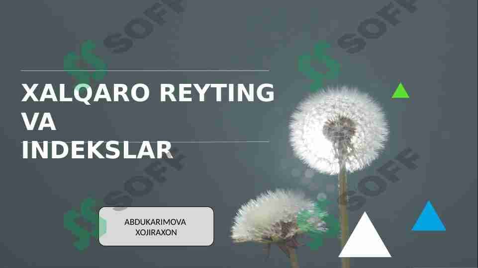 Xalqaro reyting va indekslash