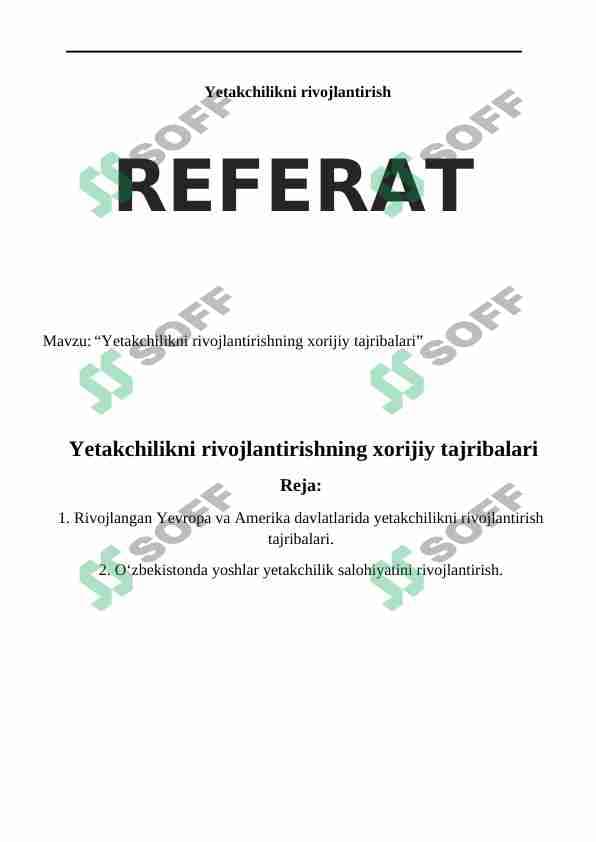 Yetakchilikni rivojlantirishning xorijiy tajribalari