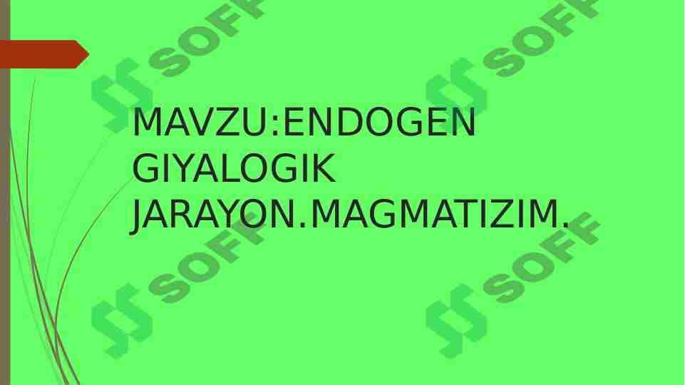 ENDOGEN GIYALOGIK JARAYON.MAGMATIZIM.