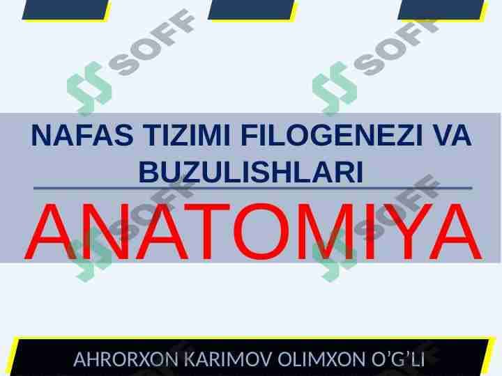 NAFAS TIZIMI FILOGENEZI VA BUZULISHLARI