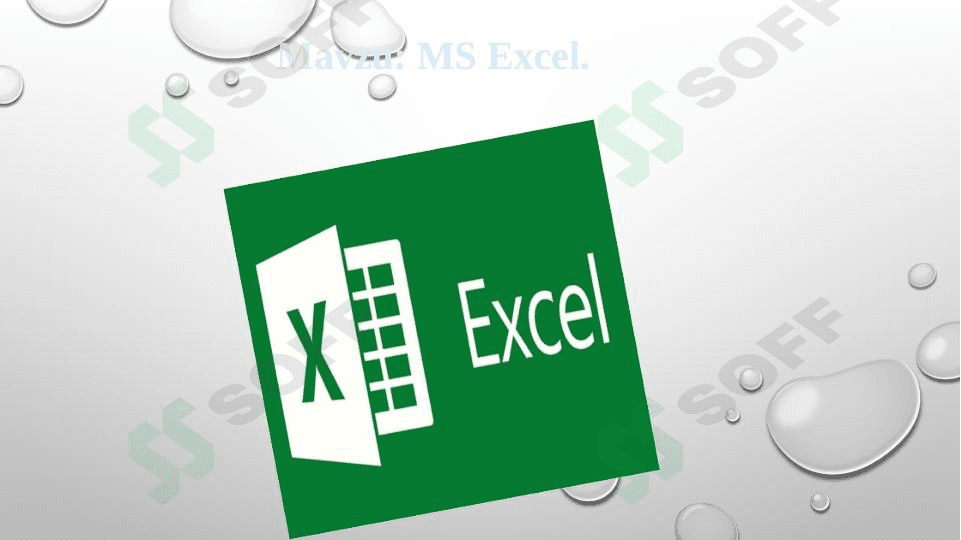 MS Excel