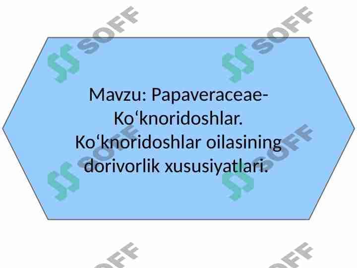 Papaveraceae-Koʻknoridoshlar. Koʻknoridoshlar oilasining dorivorlik xususiyatlari