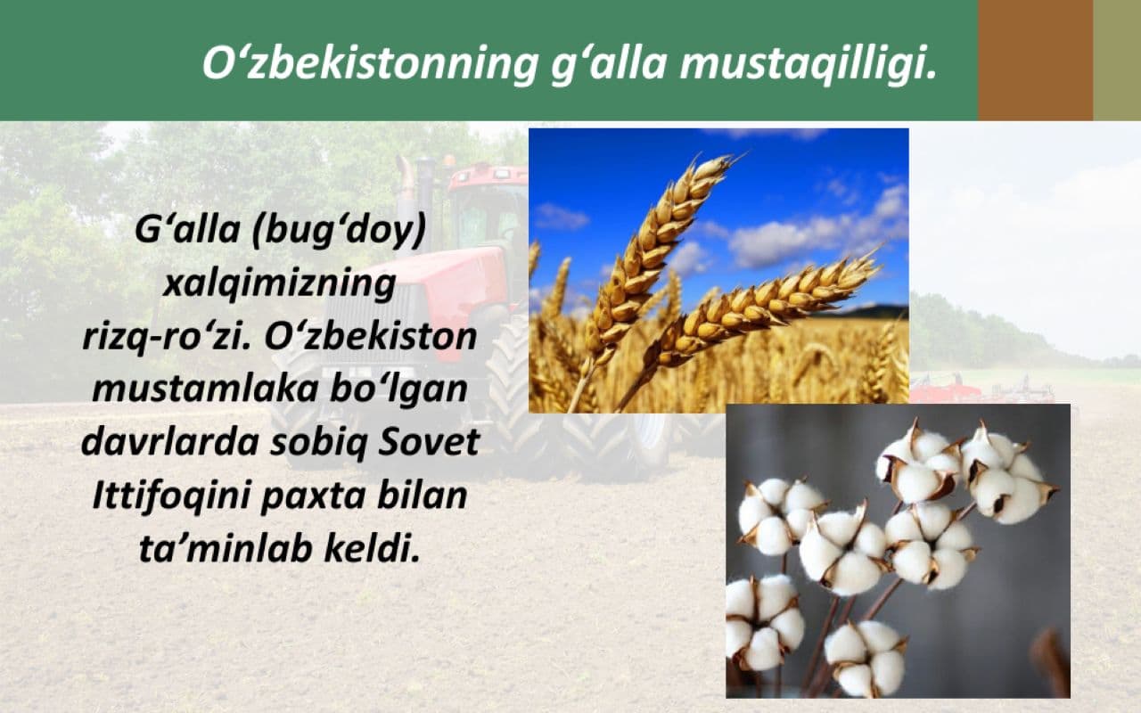 O'zbekiston iqtisodiyotidagi ilk yutuqlar