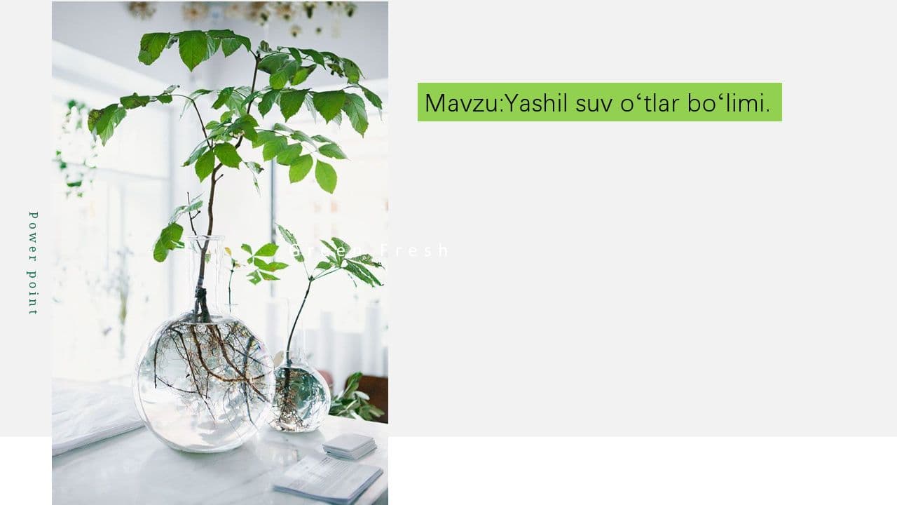 Yashil suv oʻtlar boʻlimi