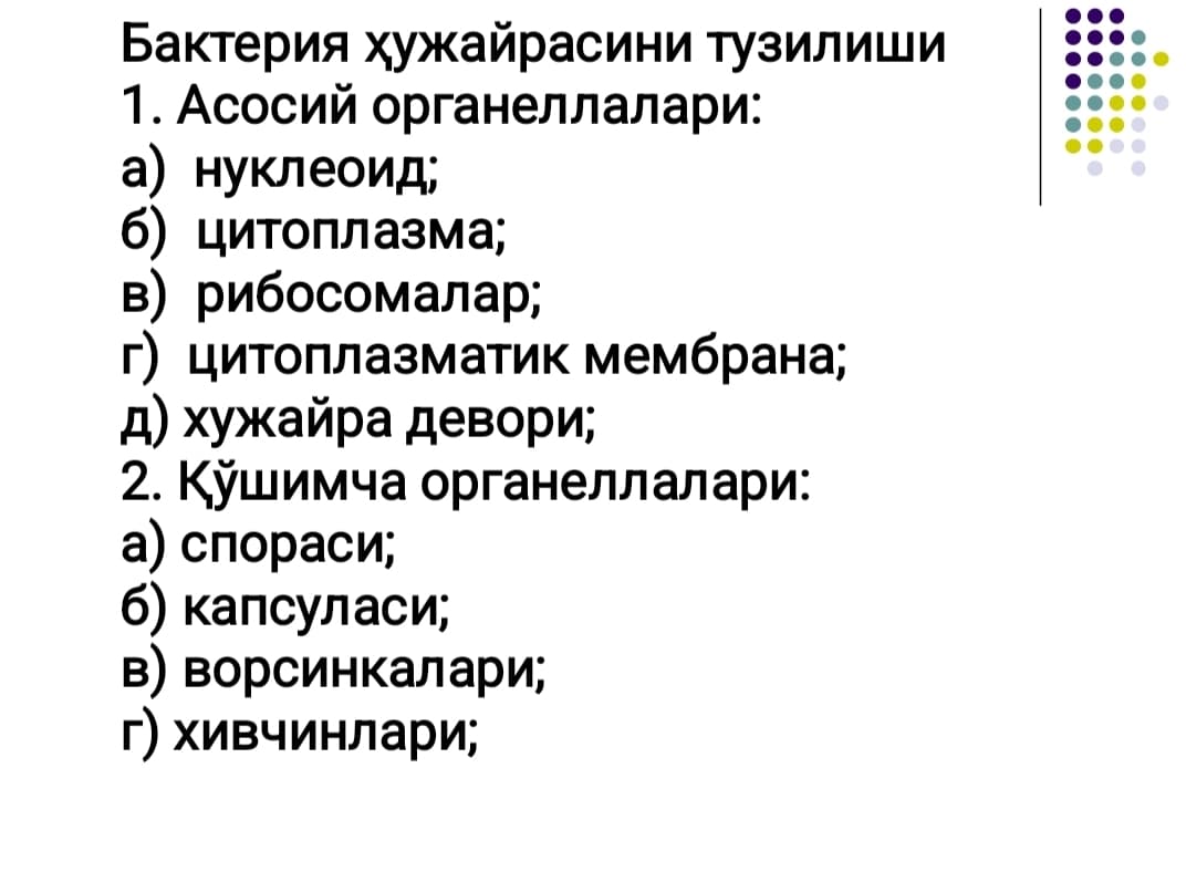 Микроорганизмларнинг   ултраструктураси ва  химиявий  таркиби, улчамлари. Микробиологик  амалиётдаги  ахамияти.