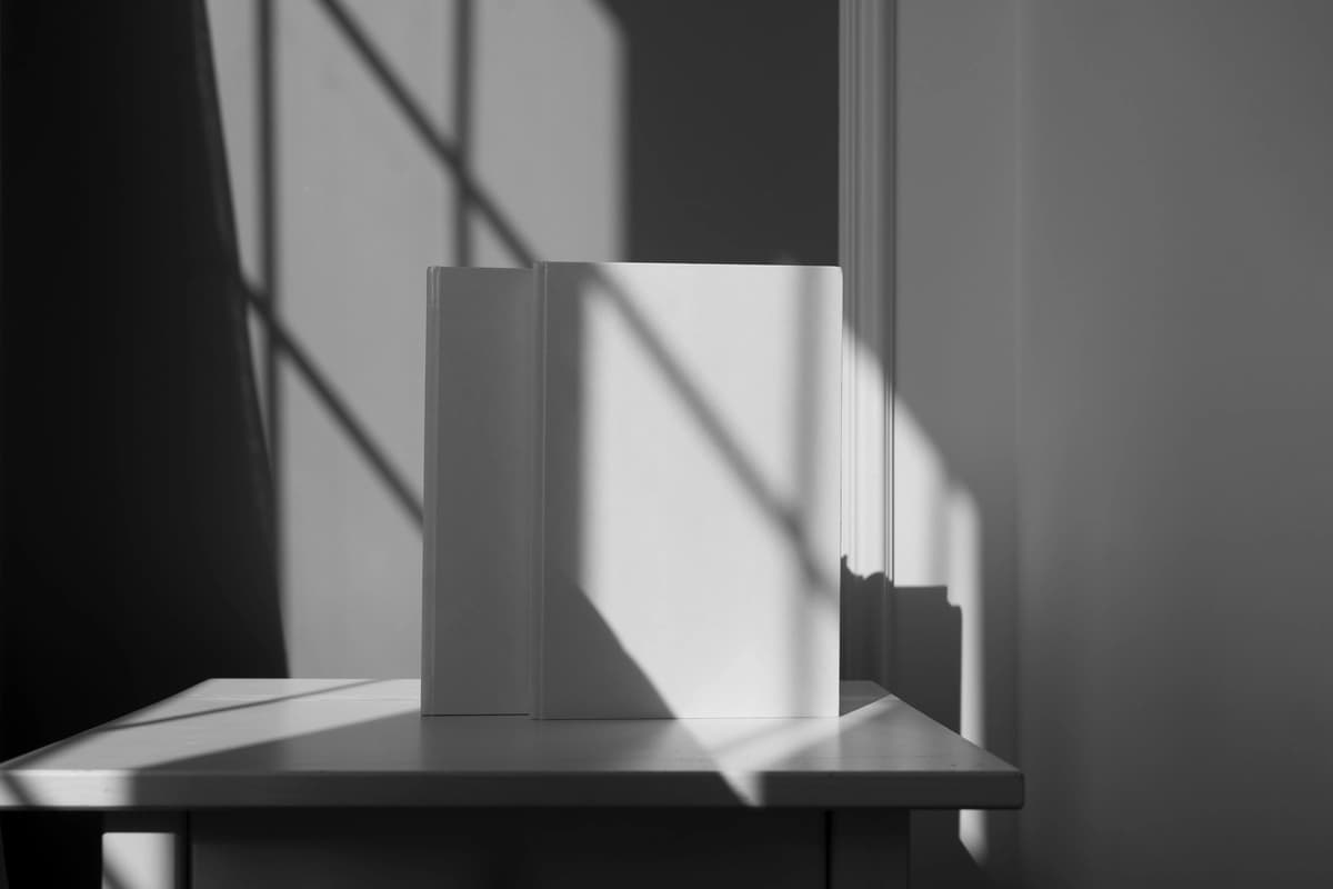 Yorug'lik soyalari bilan kitob maketi | Book mockup with lights shadows