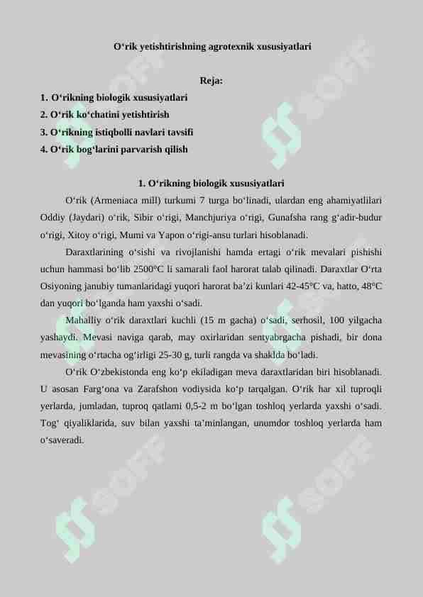 O'rik yetishtirishning agrotexnik xususiyatlari