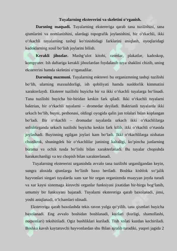 Tuyalarning ekstererini va skeletini o‘rganish
