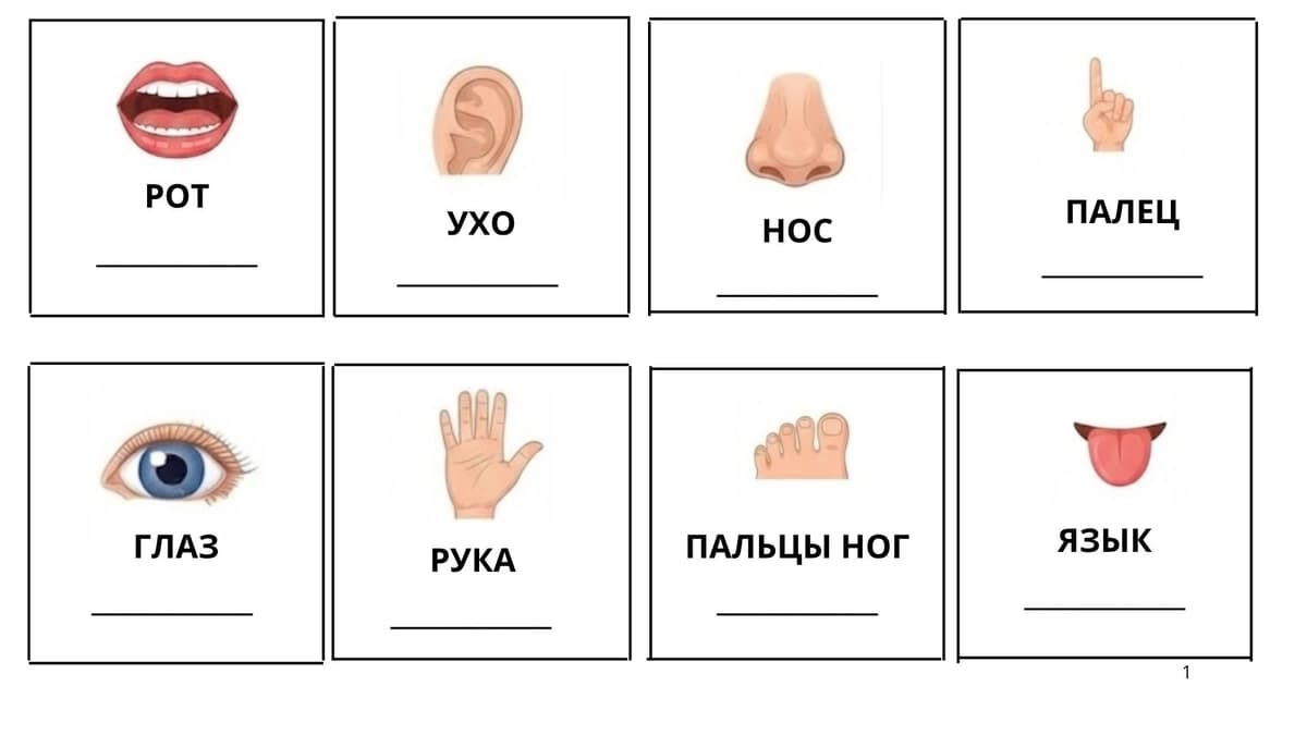 Rustilidan kartochka