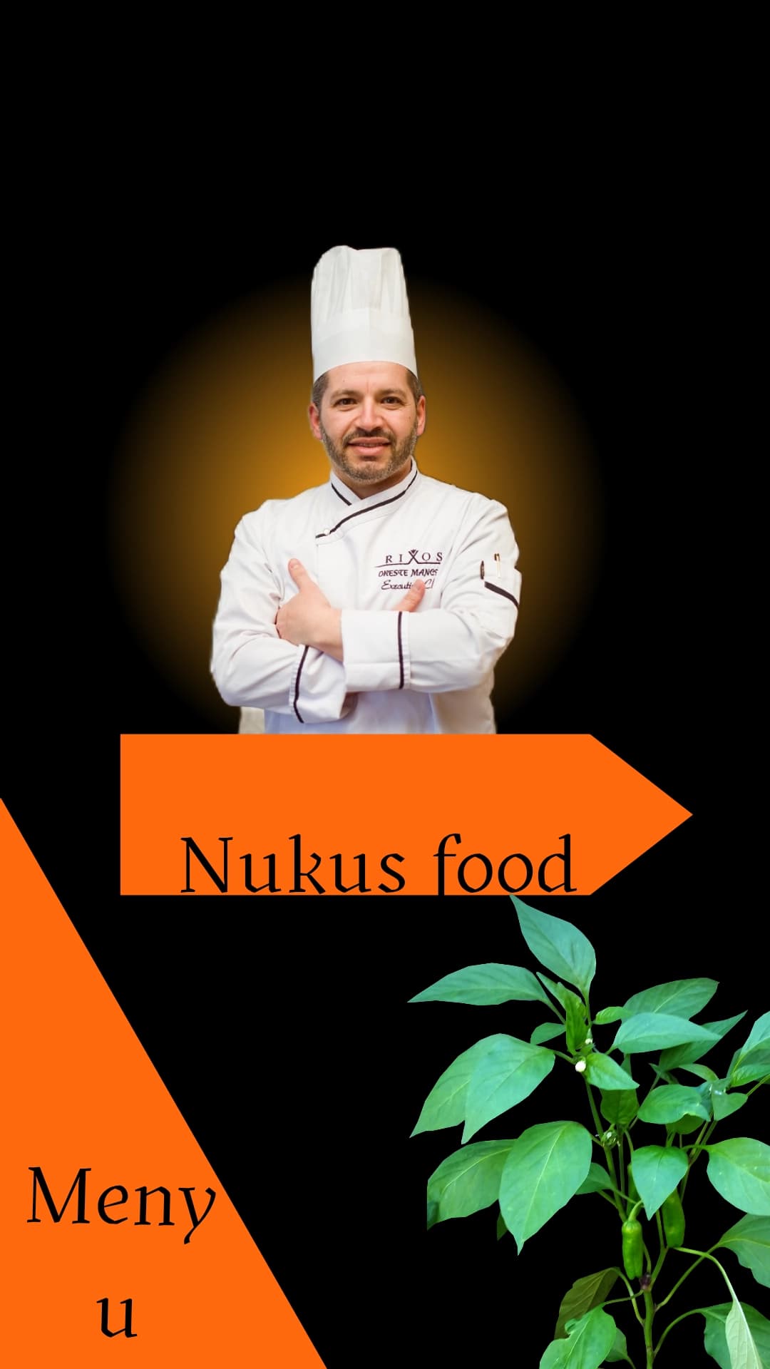 Menyu(restoran va shxonalarga)