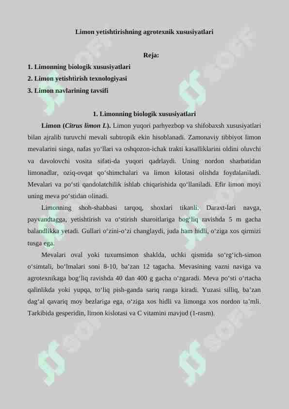 Limon yetishtirishning agrotexnik xususiyatlari