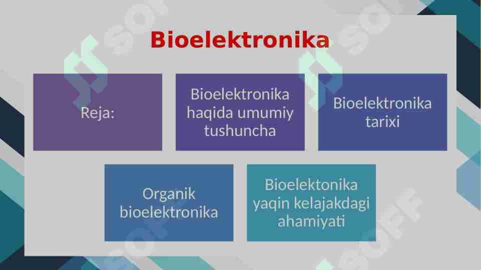 Bioelektronika