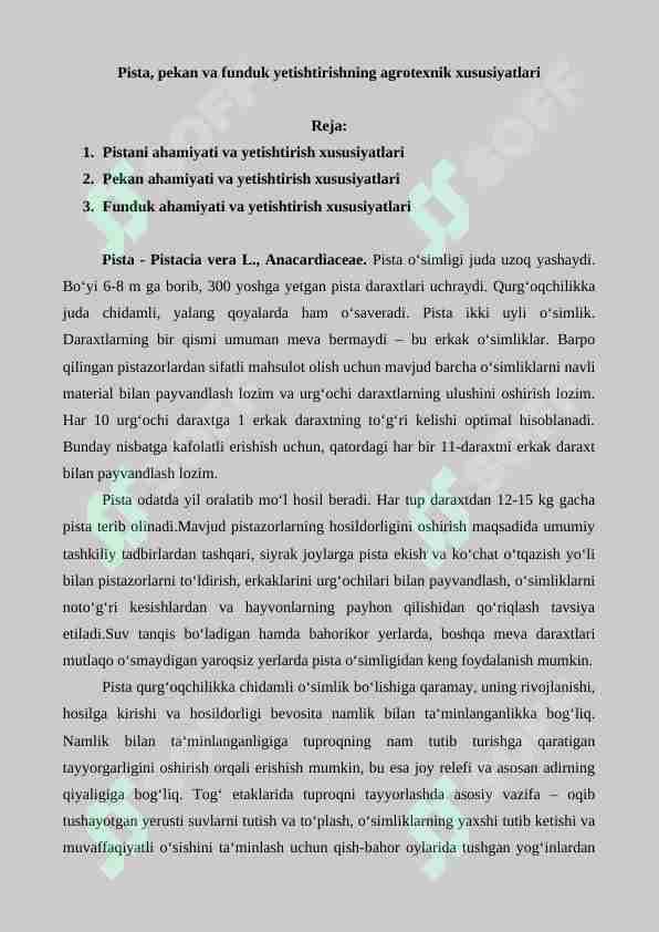 Pista, pekan va funduk yetishtirishning agrotexnik xususiyatlari