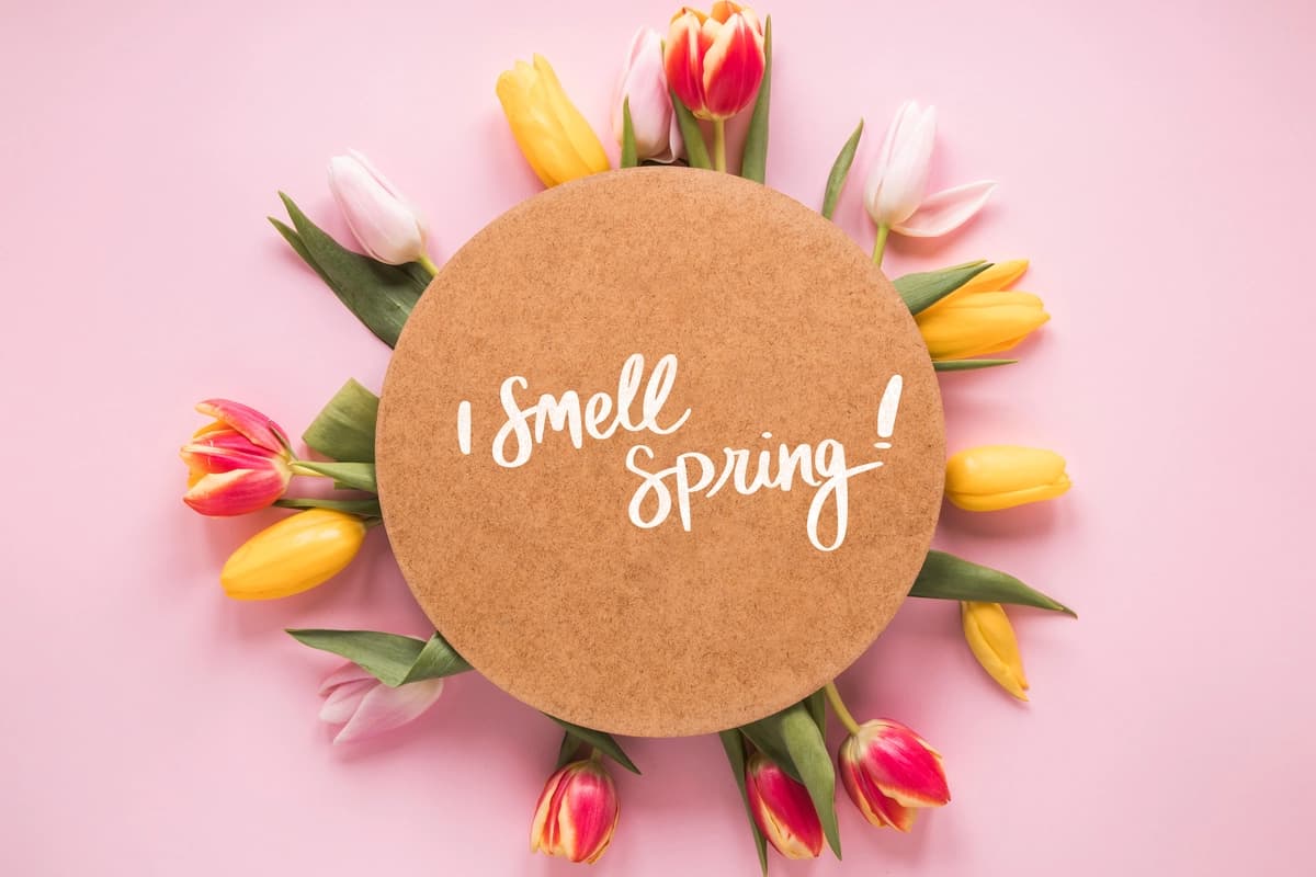 Yassi yotqizilgan dumaloq kartochka maketi bahor | Flat lay round card mockup spring
