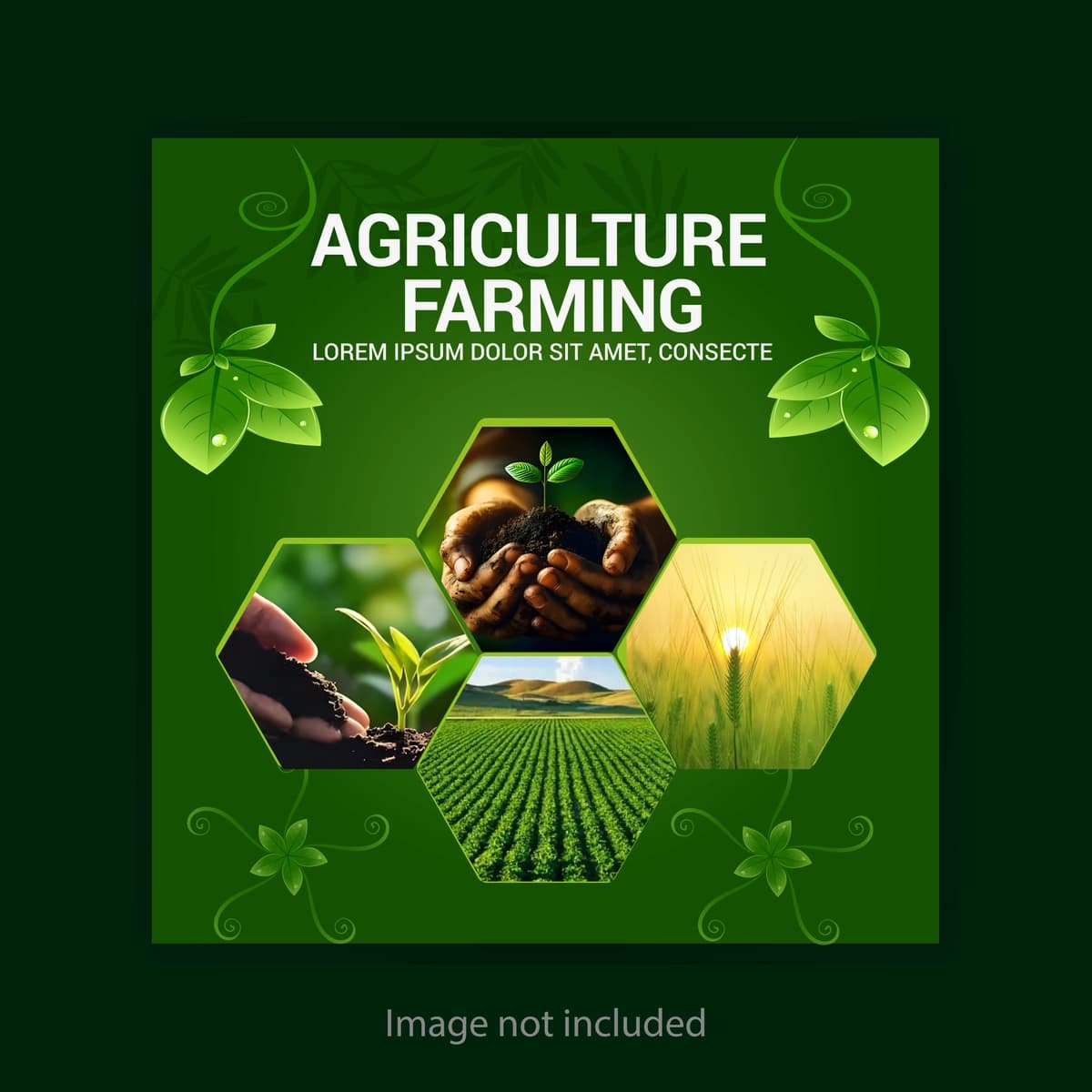 Qishloq xo'jaligi ijtimoiy media post dizayni | Agriculture farming social media post design