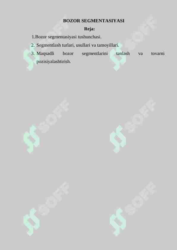 BOZOR SEGMENTATSIYASI