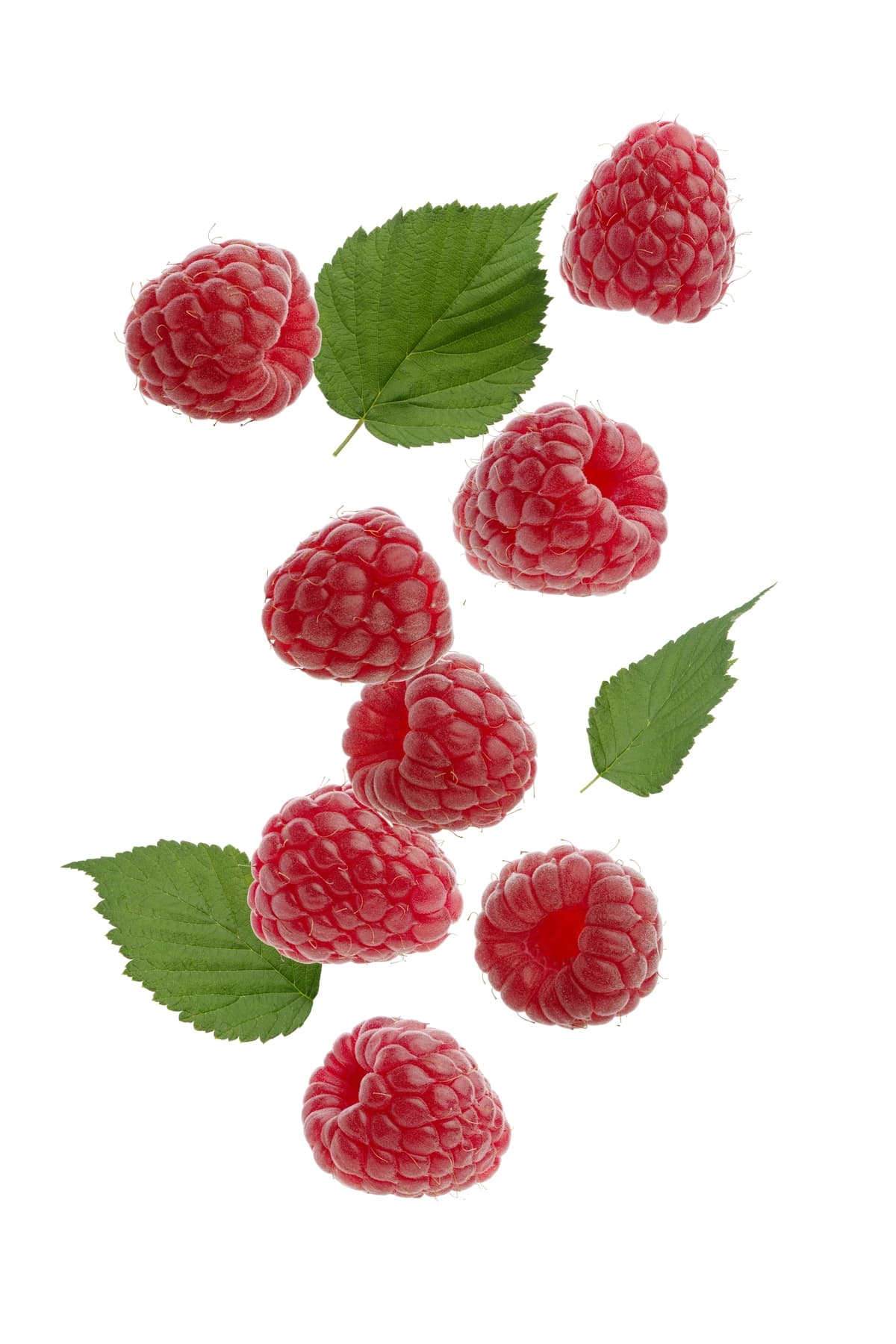 Yashil barglari oq rangli fonda malina | Raspberry with green leaves white isolated background