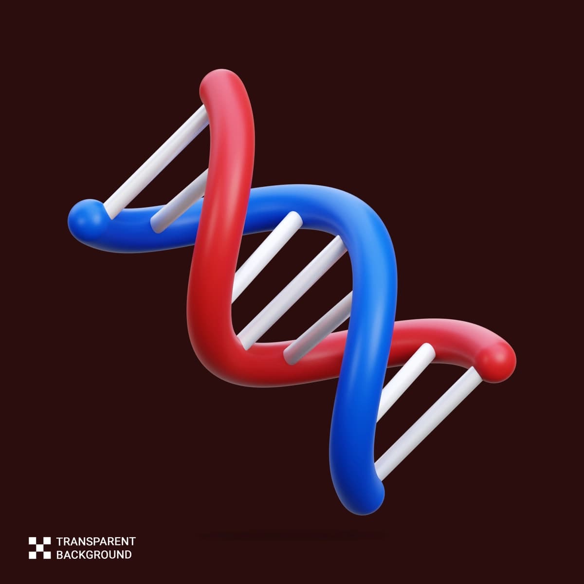 Psd 3d render DNK qo'sh spiral qizil ko'k | Psd 3d render dna double helix red blue