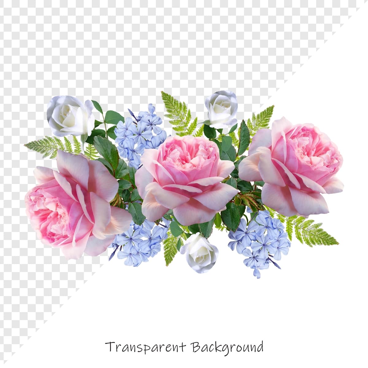 Shaffof fon bilan atirgullar gul | Roses flower with transparent background