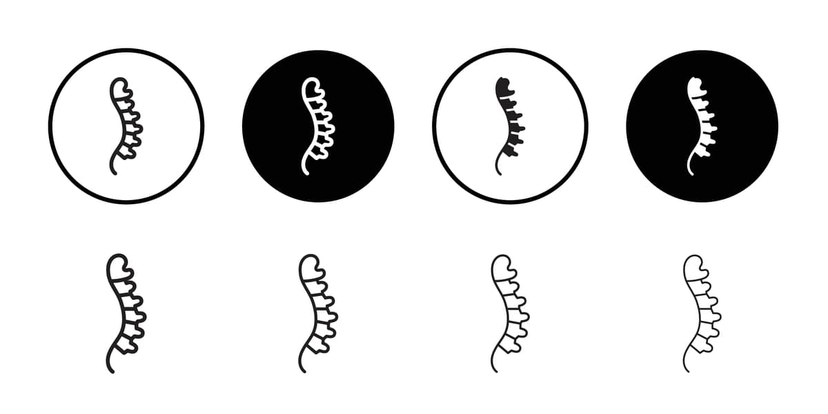 Orqa miya piktogramma kontur belgisi | Spine icon outline set sign