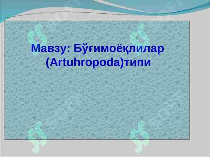 Bo‘g‘imoyoqlilar   (Artuhropoda) tipi
