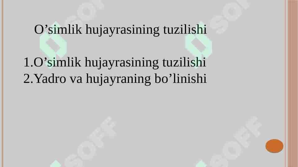 O’simlik hujayrasining tuzilishi