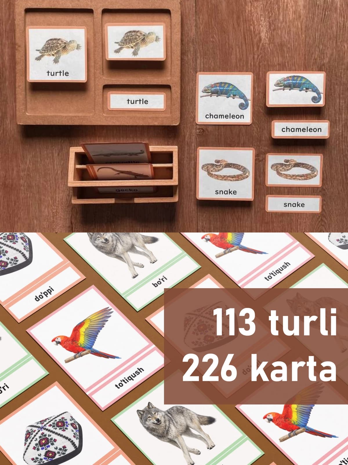Montessori nomenklatura kartochkalari