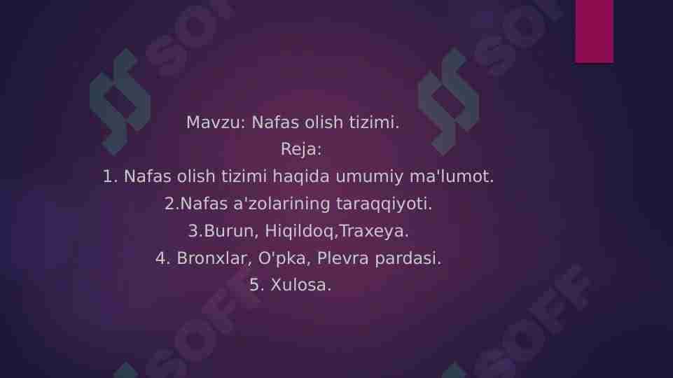 Nafas olish tizimi