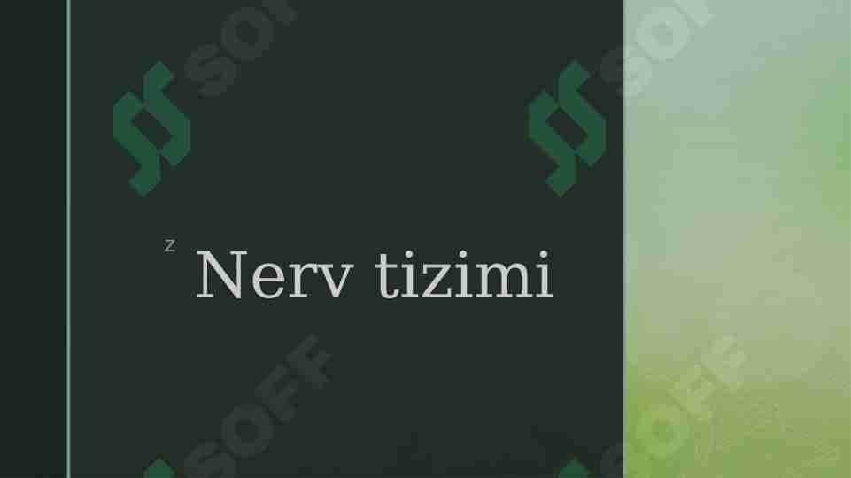 Nerv tizimi