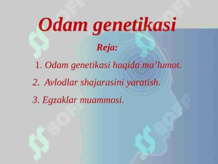 Odam genetikasi