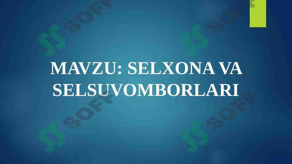 SELXONA VA SELSUVOMBORLARI