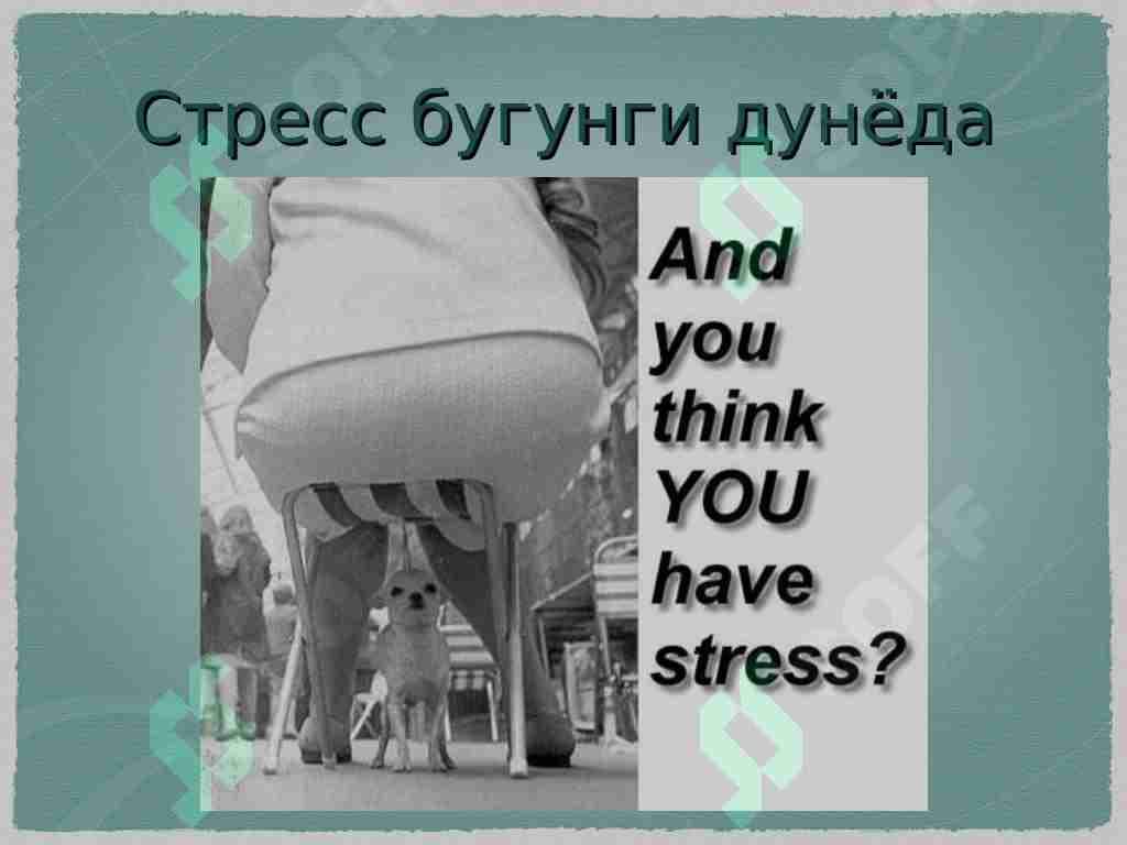 Stress nima