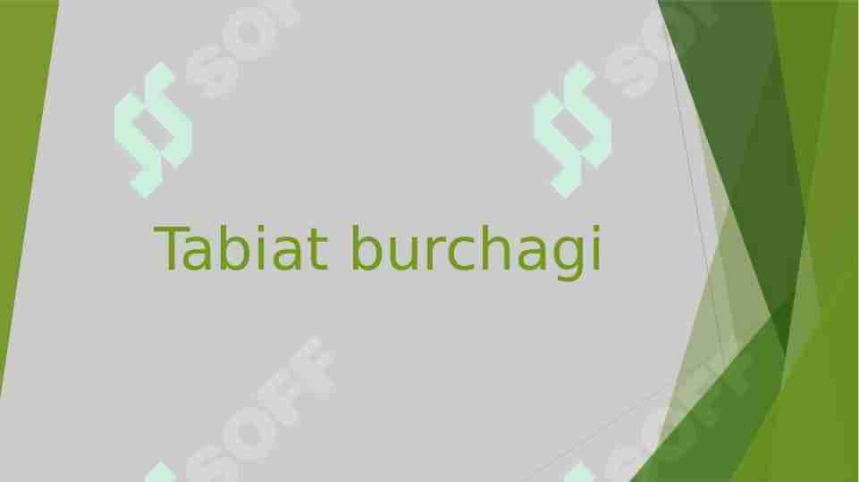 Tabiat burchagi