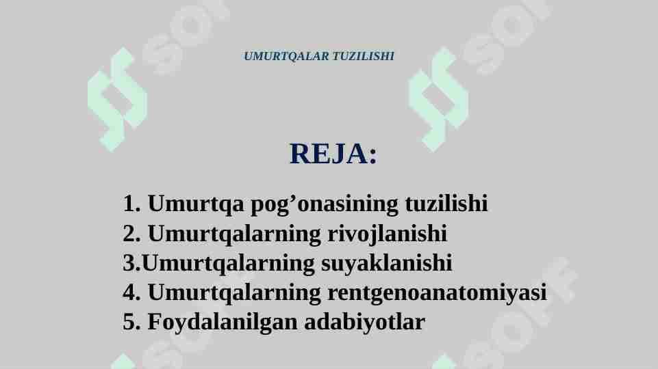 UMURTQALAR TUZILISHI