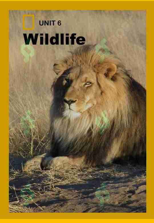 Wildlife