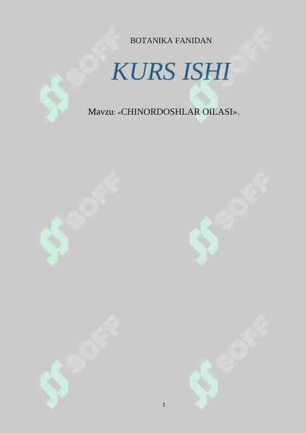 chinordoshlar oilasi