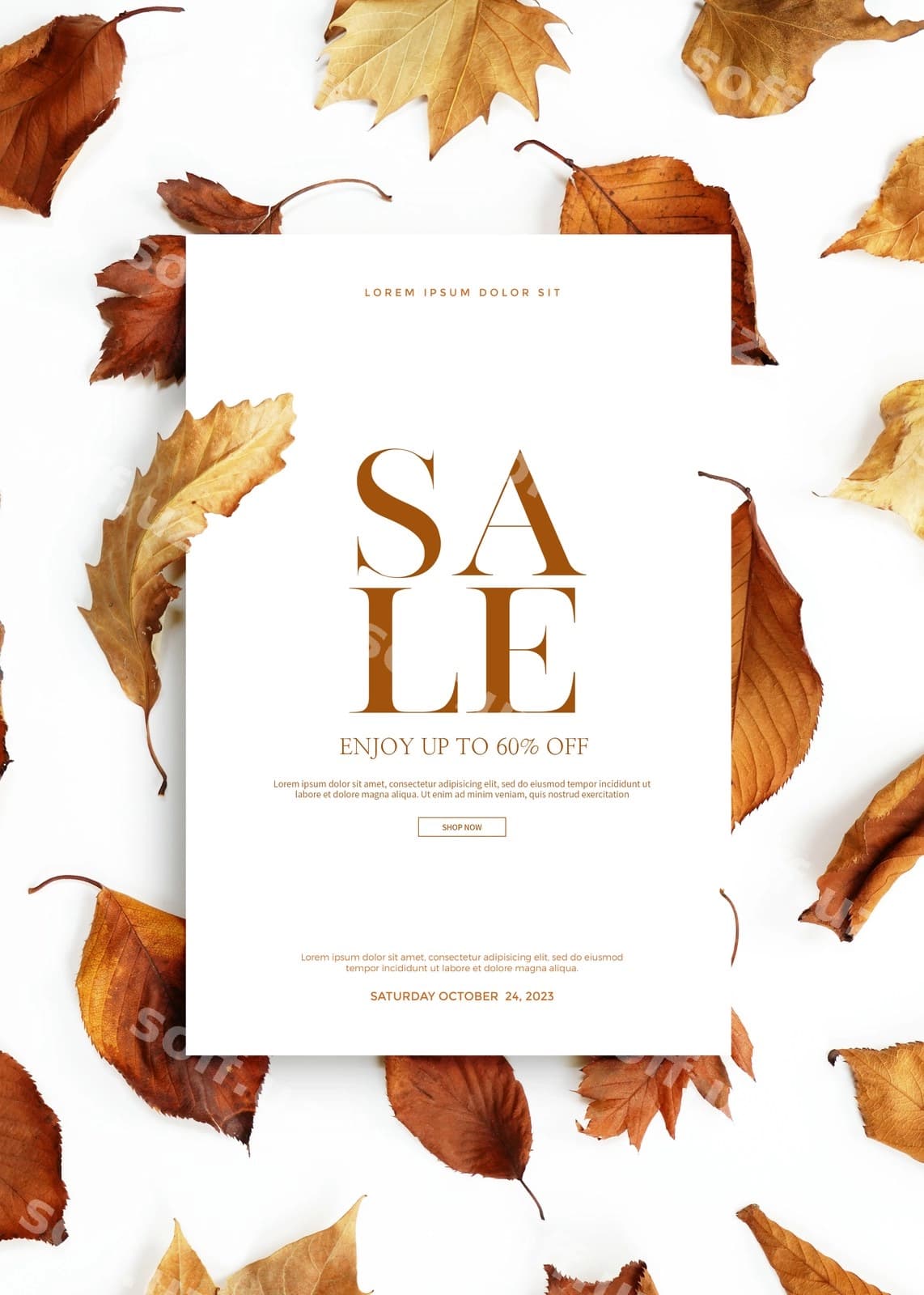 Guruchlik sotuv baner kartasi | Autumn sale banner card