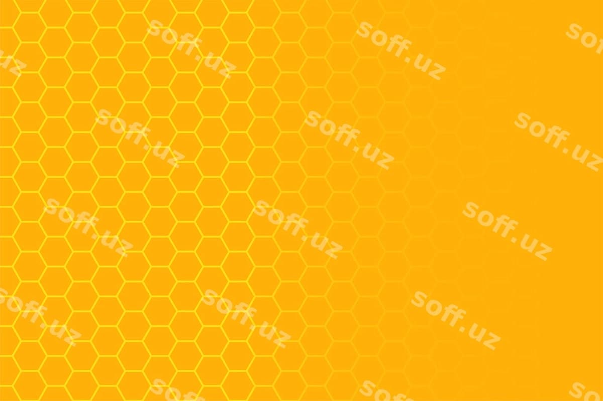Asal uyi | Beehive