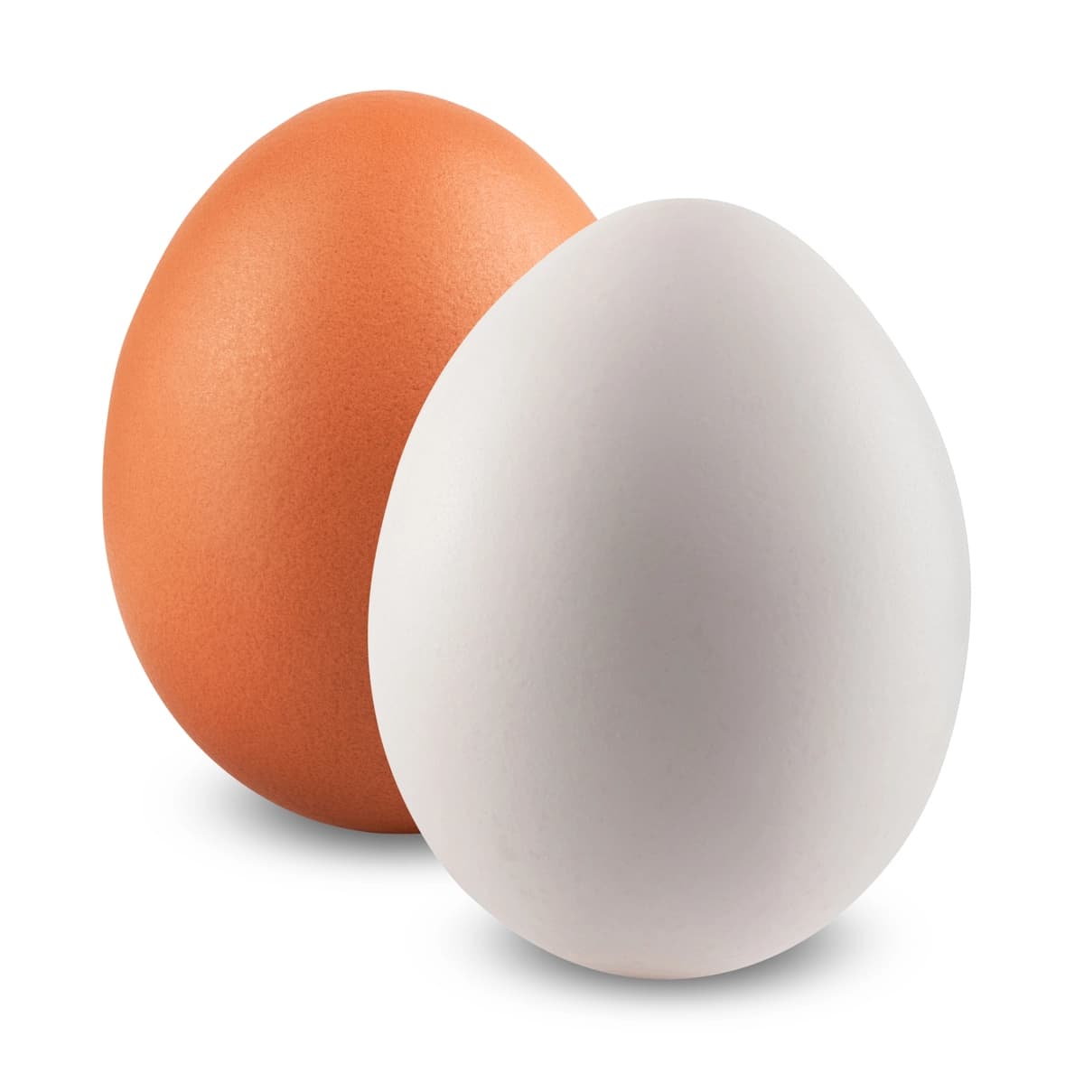 Tovuq tuxumlari oq izolyatsiya qilingan | Chicken eggs isolated white