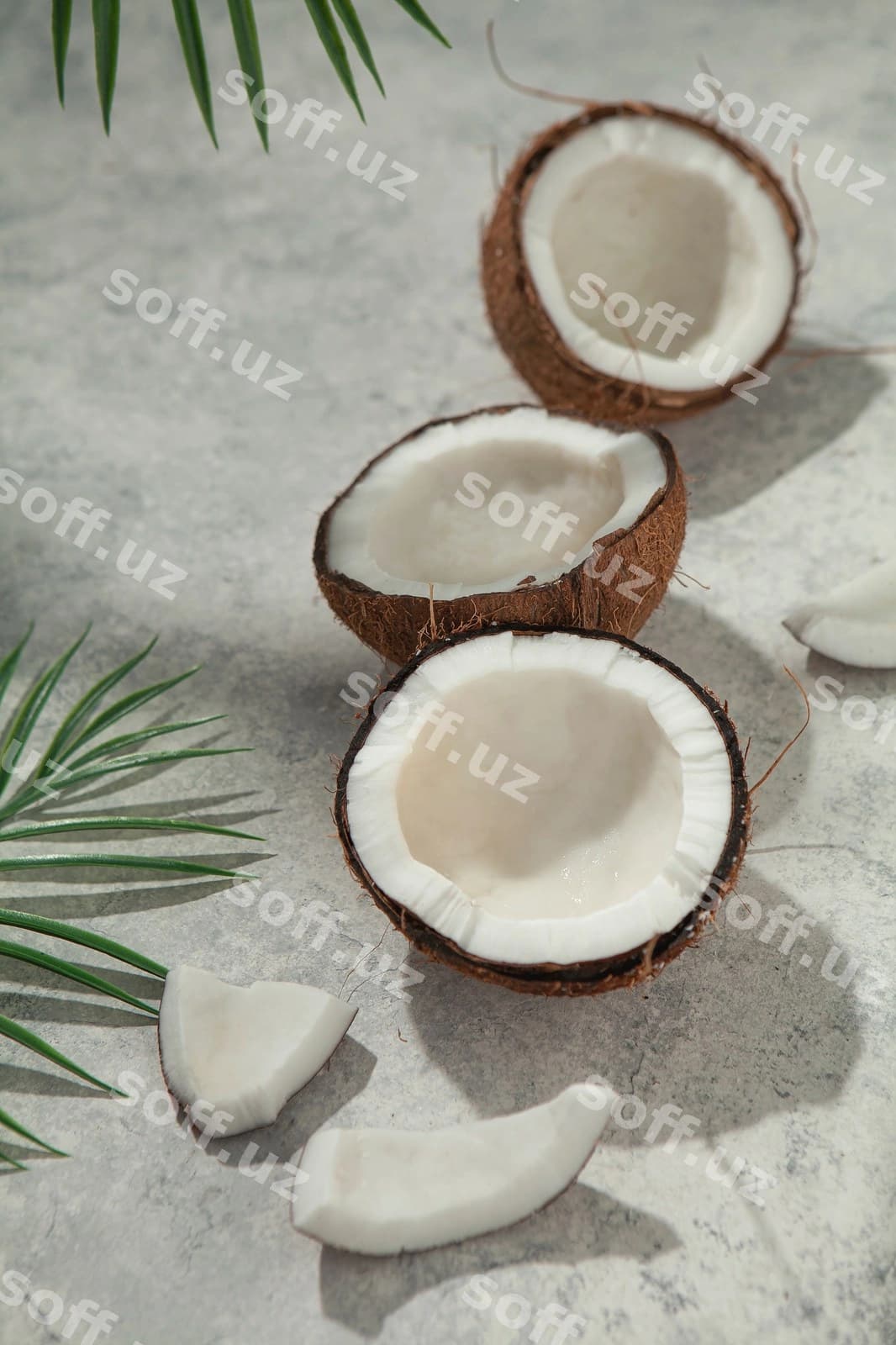 Kokos stol palm yaproqlari bilan | Coconut table with palm leaves