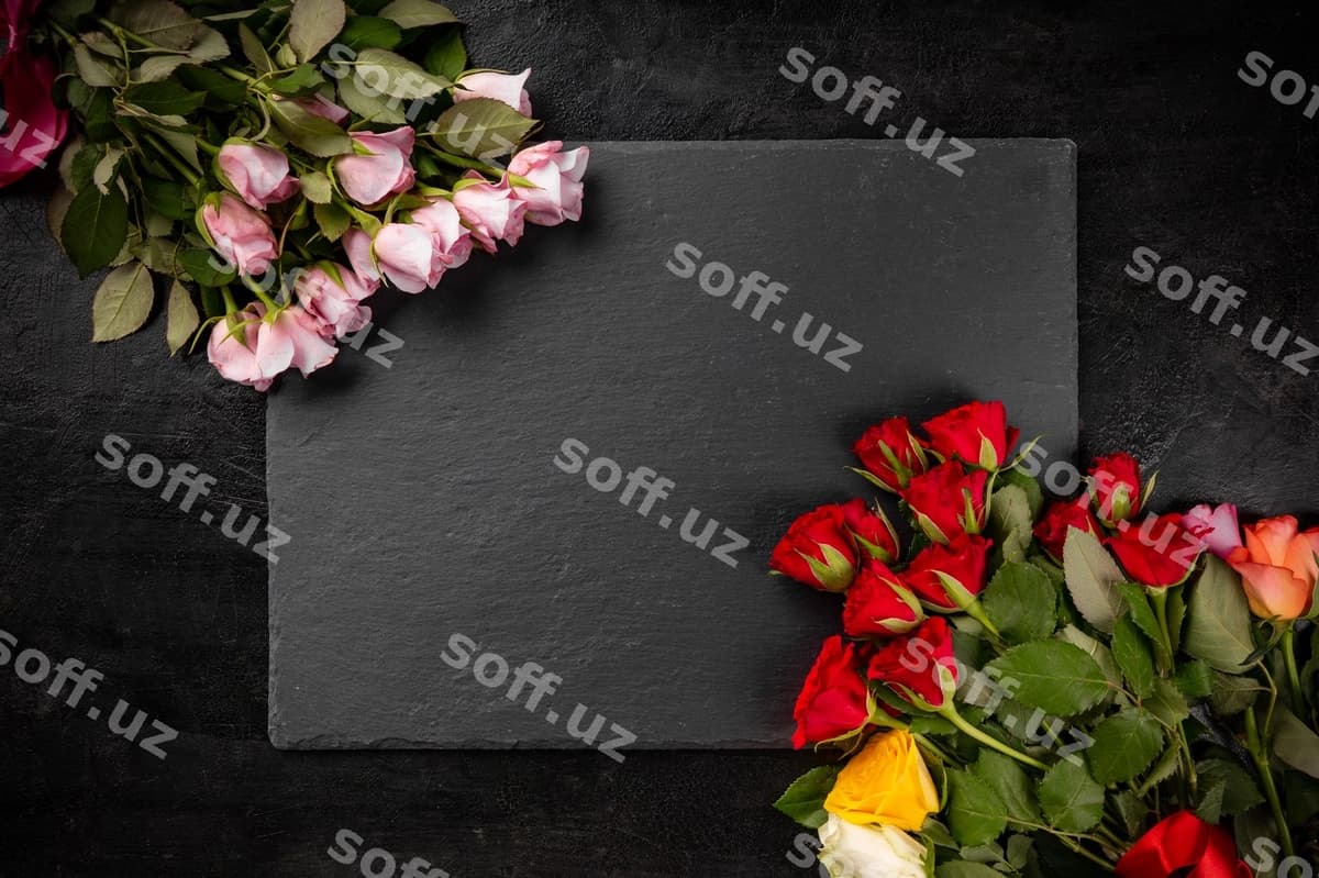 Rangli gullar | Colorful roses