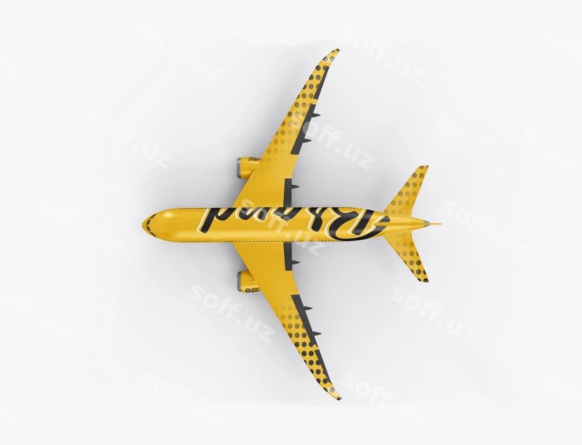 Tijorat samolyot modeli | Comercial aircraft mockup