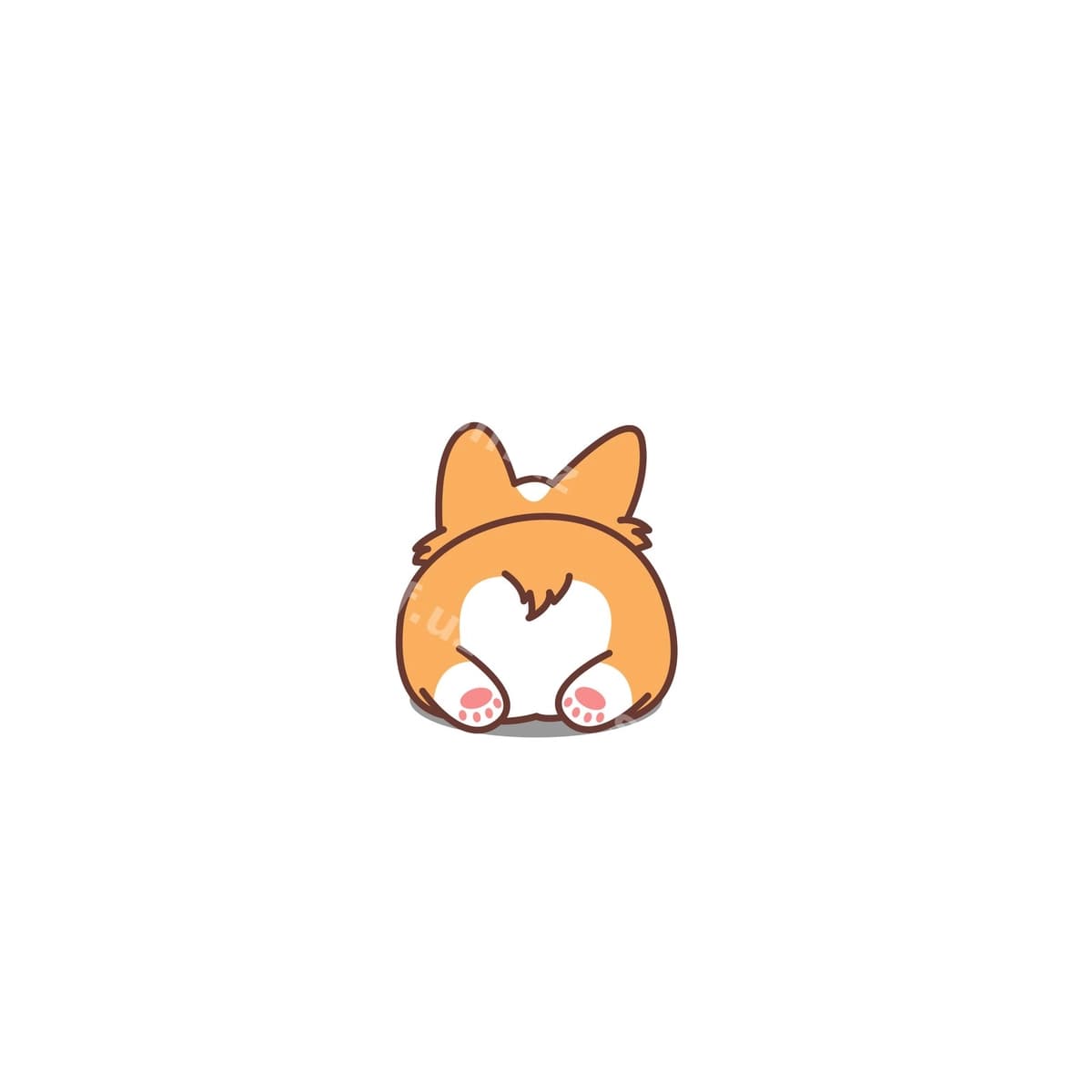 Mazali korgi orqiqi | Cute corgi butt