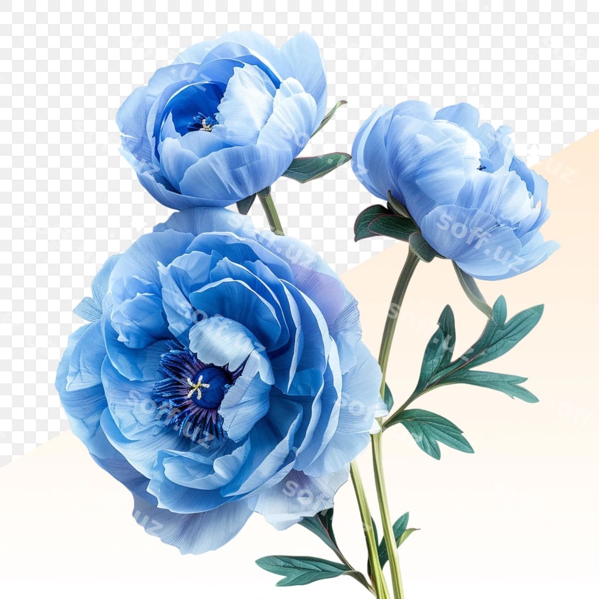 So'z 'ko'k'ni o'z ichiga olgan ko'k gullarni chizish | Drawing blue flowers with word blue it