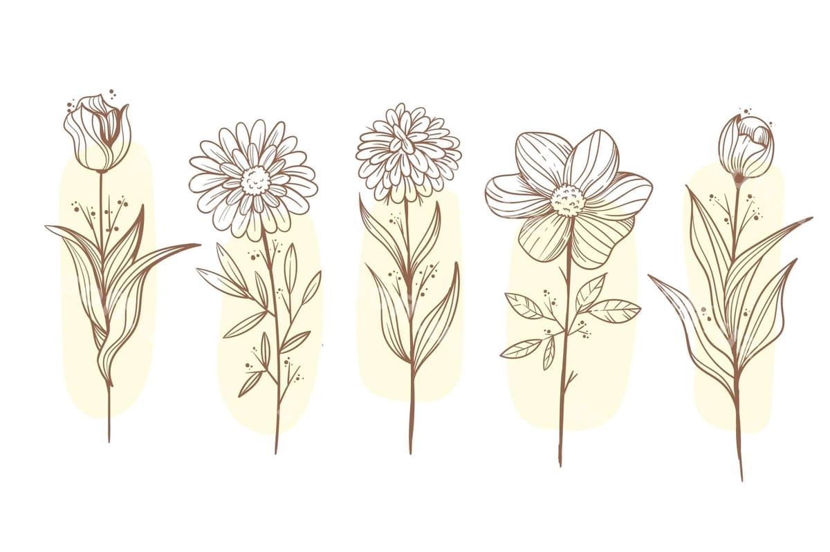 Gravür qo'lda chizilgan gullar to'plami | Engraving hand drawn flower collection
