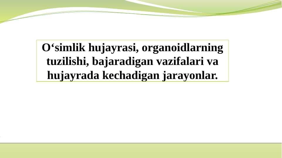 O‘simlik hujayrasi, organoidlarning tuzilishi, bajaradigan vazifalari va hujayrada kechadigan jarayonlar.
