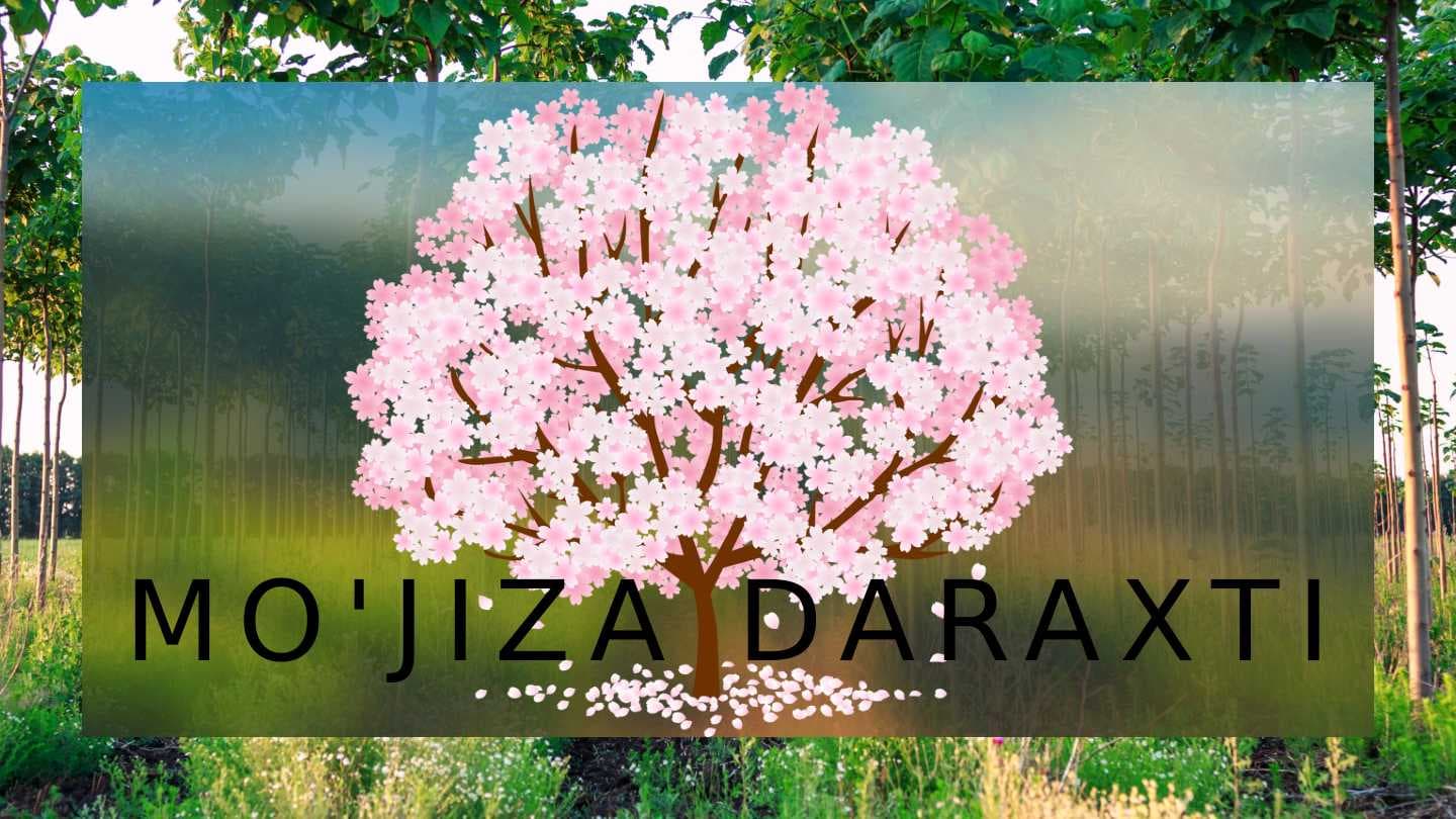 MO'JIZA DARAXTI